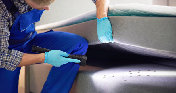 Best Ant Control Services  in Moose Wilson Road, WY