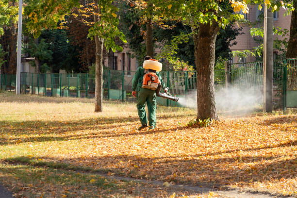 Best Exterminator Services  in Moose Wilson Road, WY